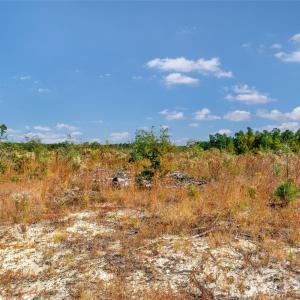 Photo #15 of Riley, Chesterfield, SC