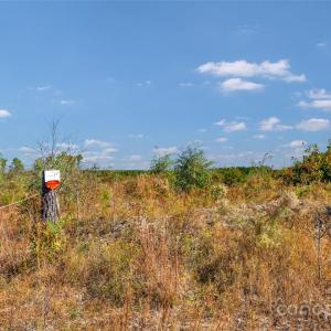 Photo #10 of Riley, Chesterfield, SC