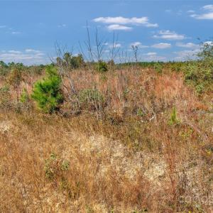 Photo #17 of Riley, Chesterfield, SC