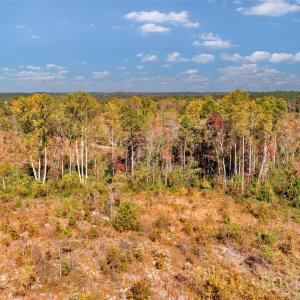 Photo #3 of Riley, Chesterfield, SC