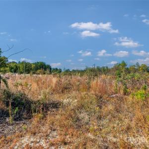 Photo #13 of Riley, Chesterfield, SC