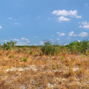 Photo #12 of Riley, Chesterfield, SC