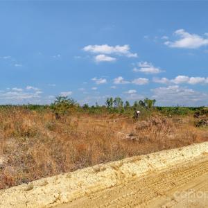 Photo #8 of Riley, Chesterfield, SC