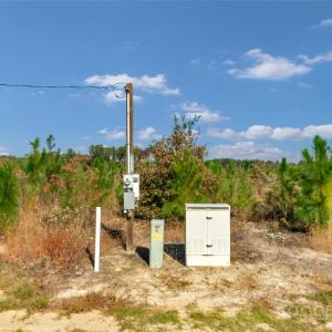 Photo #4 of Riley, Chesterfield, SC