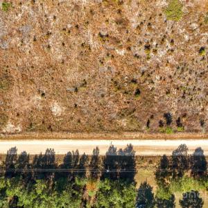 Photo #7 of Riley, Chesterfield, SC