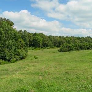 Photo #36 of Old Goldmine, Marshville, NC