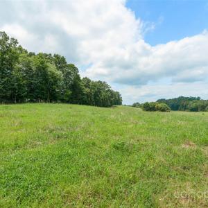 Photo #43 of Old Goldmine, Marshville, NC