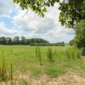 Photo #28 of Old Goldmine, Marshville, NC