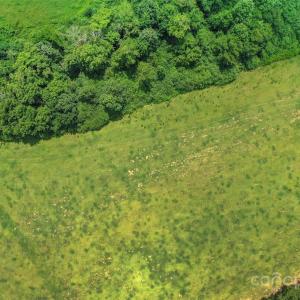 Photo #22 of Old Goldmine, Marshville, NC