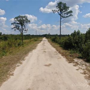 Photo #2 of Porcelain, Pembroke, NC