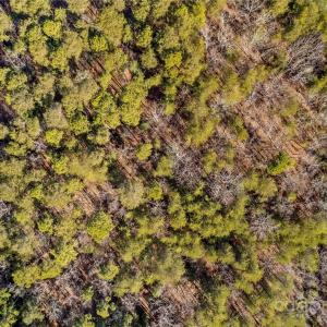 Photo #9 of 642 Whisper Lake, New London, NC