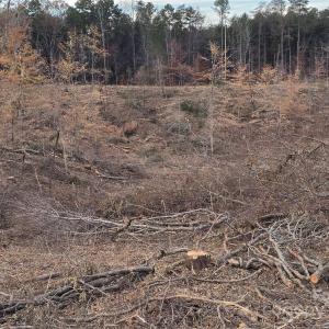 Photo #3 of TBD Wildwood, Salisbury, NC