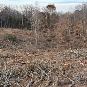 Photo #8 of TBD Wildwood, Salisbury, NC