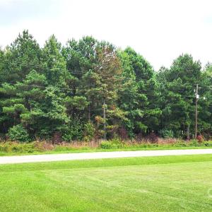 Photo #3 of 510 Van Lingle Mungo, Pageland, SC