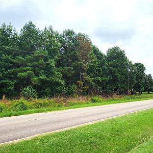 Photo #12 of 510 Van Lingle Mungo, Pageland, SC