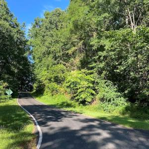 Photo #7 of 173 Stacked Rock, Landrum, SC