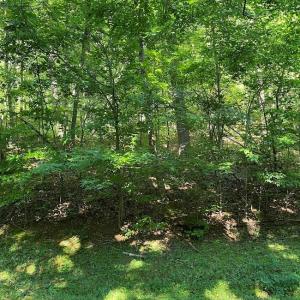 Photo #6 of 173 Stacked Rock, Landrum, SC