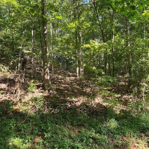 Photo #8 of 173 Stacked Rock, Landrum, SC