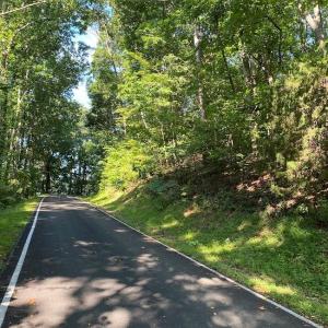 Photo #5 of 173 Stacked Rock, Landrum, SC