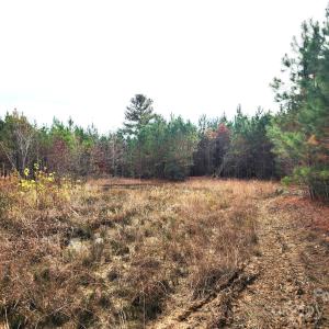 Photo #15 of 2351 Reges Store, Nashville, NC