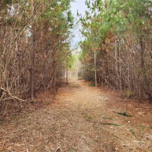 Photo #17 of 2351 Reges Store, Nashville, NC