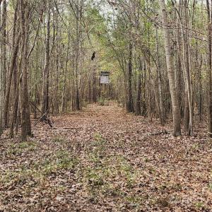 Photo #23 of 2351 Reges Store, Nashville, NC