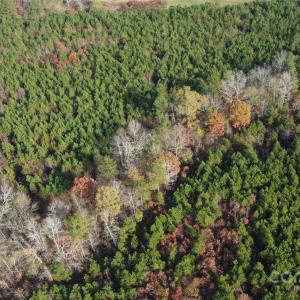 Photo #33 of 2351 Reges Store, Nashville, NC