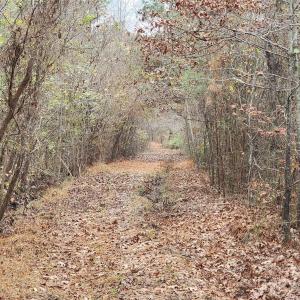 Photo #26 of 2351 Reges Store, Nashville, NC