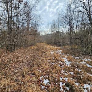 Photo #42 of 2351 Reges Store, Nashville, NC