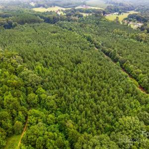 Photo #15 of Vac 16.2 Acres Southbound, Albemarle, NC