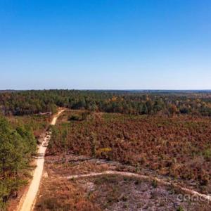 Photo #6 of 27.5 ac Tract Gun O Field, Wallace, SC