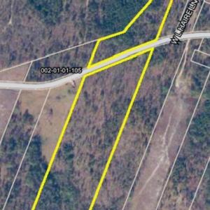 Photo #4 of 27.5 ac Tract Gun O Field, Wallace, SC