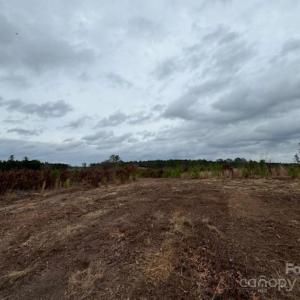 Photo #13 of 27.5 ac Tract Gun O Field, Wallace, SC