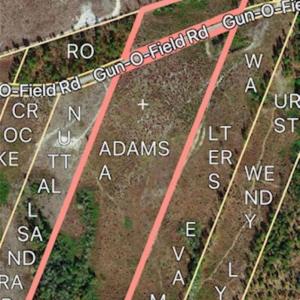 Photo #3 of 27.5 ac Tract Gun O Field, Wallace, SC