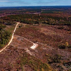Photo #7 of 27.5 ac Tract Gun O Field, Wallace, SC