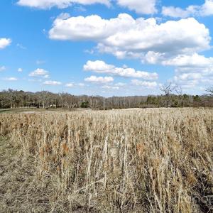 Photo #15 of 6114 Will Plyler, Waxhaw, NC