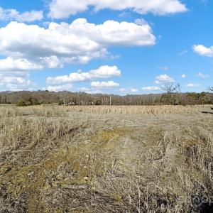 Photo #14 of 6114 Will Plyler, Waxhaw, NC