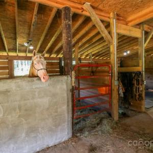 Photo #17 of Shaw, Waxhaw, NC