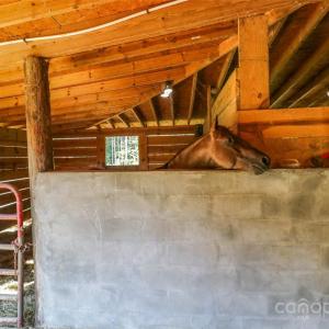 Photo #16 of Shaw, Waxhaw, NC