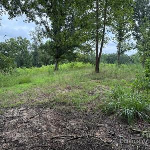 Photo #16 of Henry Harris, Fort Mill, SC