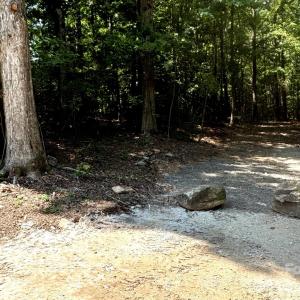 Photo #1 of 4712 Bigham, Waxhaw, NC