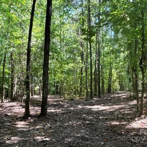 Photo #3 of 4712 Bigham, Waxhaw, NC
