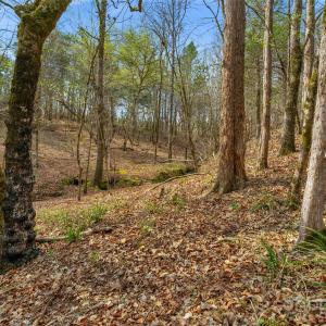 Photo #33 of Green, Lancaster, SC
