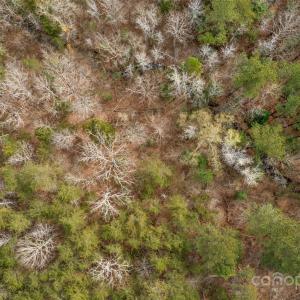 Photo #17 of Green, Lancaster, SC