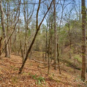 Photo #35 of Green, Lancaster, SC