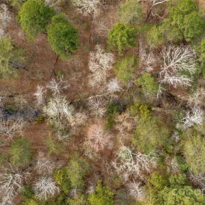 Photo #27 of Green, Lancaster, SC