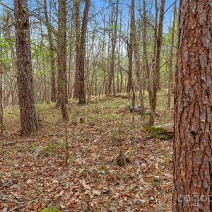 Photo #25 of Green, Lancaster, SC