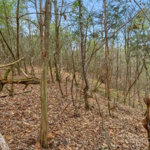 Photo #37 of Green, Lancaster, SC