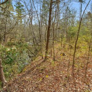 Photo #30 of Green, Lancaster, SC