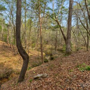 Photo #20 of Green, Lancaster, SC